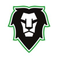 BK Mlada Boleslav S